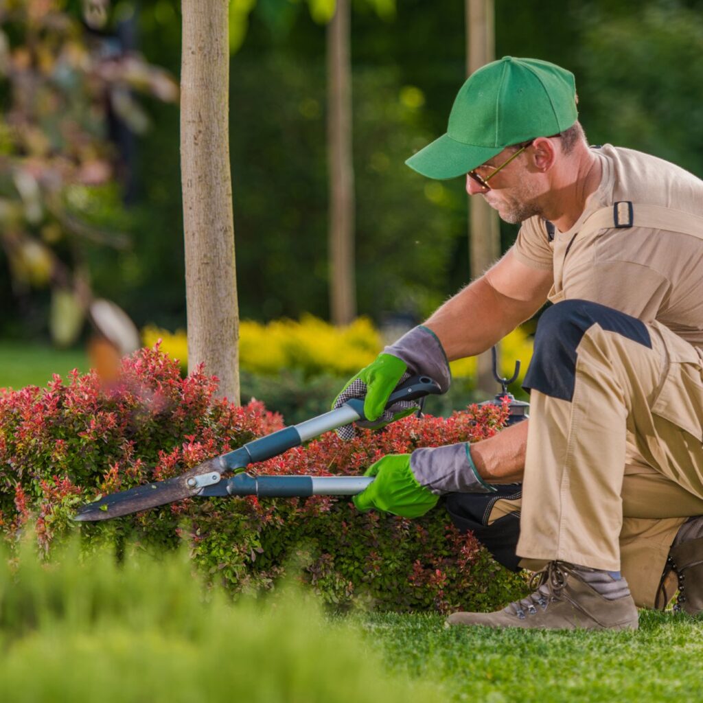 Garten und Außenpflege