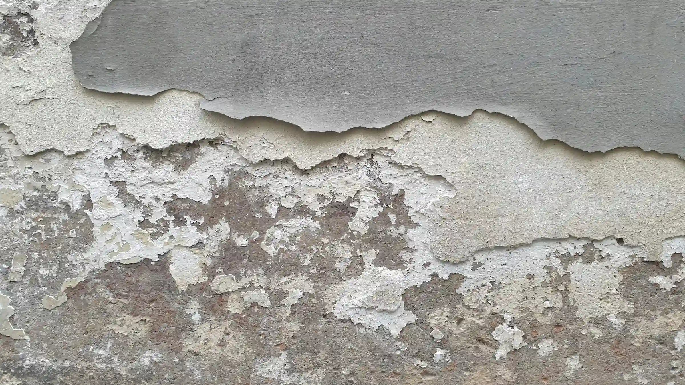 Sanierung und Renovierung